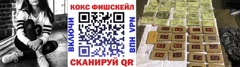 Кокаин Fish Scale  MEGA ТОР  Кимовск 