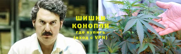 ПСИЛОЦИБИНОВЫЕ ГРИБЫ Белоозёрский