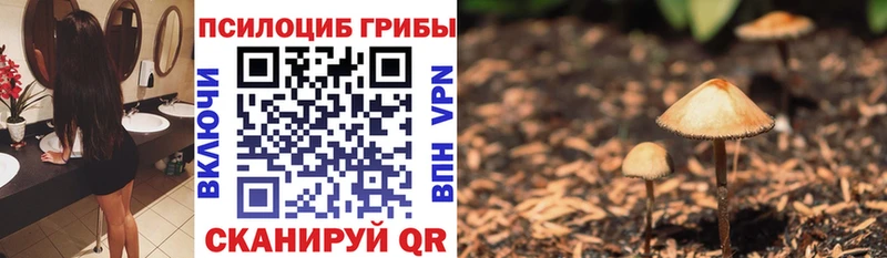 цены наркотик Кимовск Галлюциногенные грибы GOLDEN TEACHER